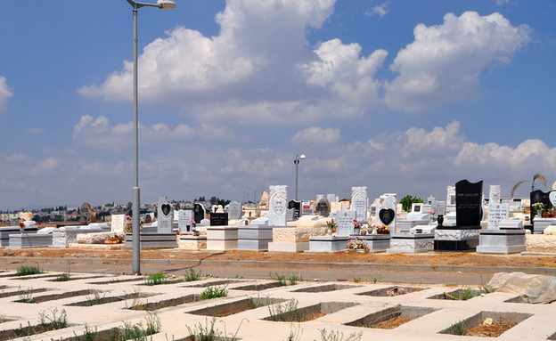 בית קברות עם חלקות פנויות (אילוסטרציה: Oleg Zaslavsky, shutterstock)