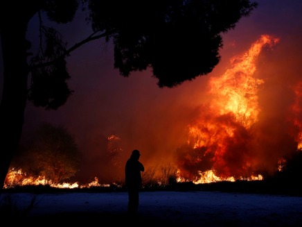 שרפה, יער, אתונה, יוון (צילום: רויטרס, חדשות)