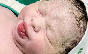 תינוק מוציא לשון פאולה גלבאיו (צילום:  Photo by Flash90)