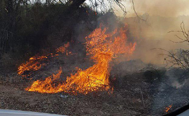 שרפה בקיבוץ ארז (צילום: דדי פולד, חדשות)