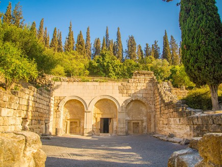 בית שערים (צילום: מנו גרינשפן)