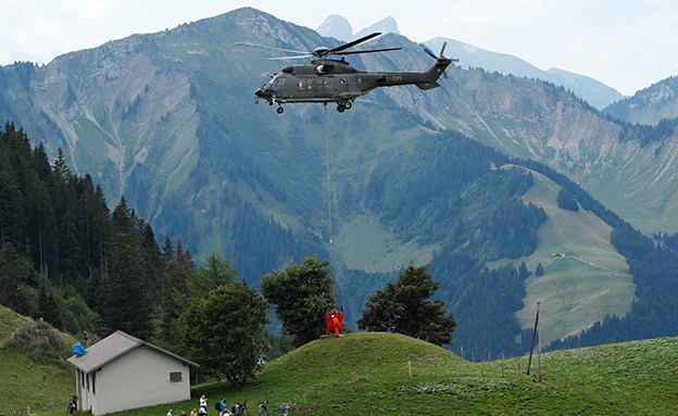 צבא שווייץ מתגייס להציל את הפרות (צילום: רויטרס, חדשות)