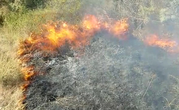 9 שריפות פרצו כתוצאה מבלוני תבערה (צילום: גלעד גבאי‎, חדשות)