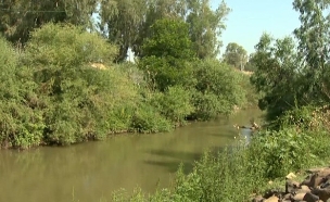 בהלת העכברת (צילום: מתוך "חי בלילה", שידורי קשת)