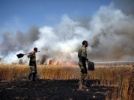 שרפה מבלון תבערה (צילום: אלי כהן דובר כבאות מחוז דרום, חדשות)