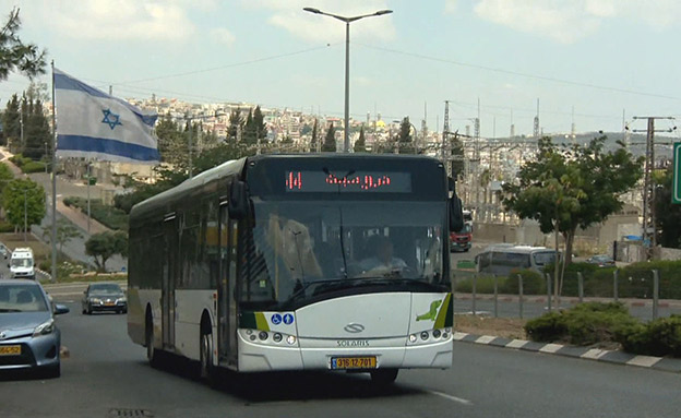 ערבים והיהודים גרים בגליל (צילום: החדשות)