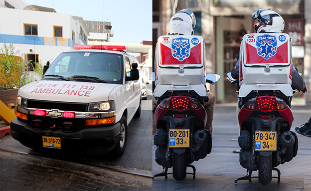 סוף ליריבות? (צילום: פלאש 90/ זאק וואסגראס, חדשות)