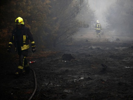 4,000 דונם נשרפו לחלוטין (צילום: Sky News, חדשות)