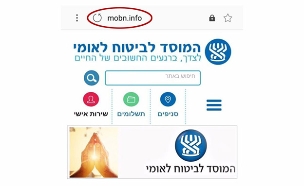 האתר שמתחזה לביטוח הלאומי (צילום: חדשות)