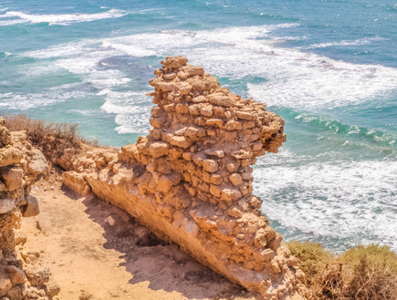 סידני עלי (צילום: shutterstock)