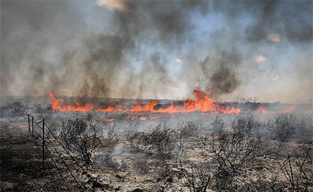 עשרות אלפי דונמים נשרפו בחצי שנה האחרונה (צילום: החדשות‎)