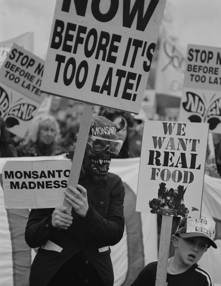 הפגנה נגד תאגיד מונסנטו (צילום: Steve Eason, Getty Images)
