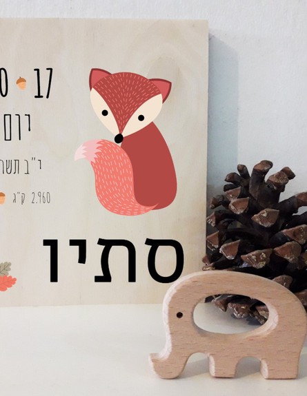 חנויות אונליין, 7 Unico (2) (צילום: דפנה ארז )