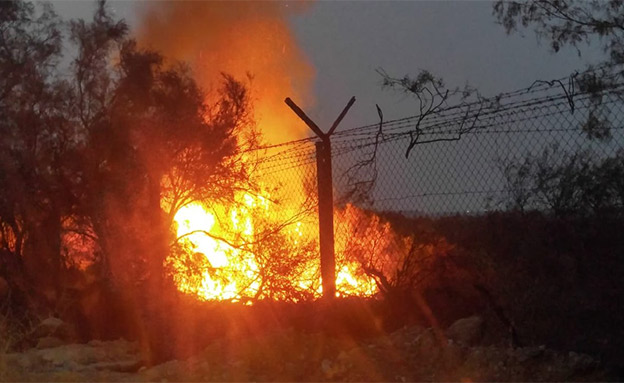 השריפה התחדשה (צילום: רשות הטבע והגנים, חדשות)