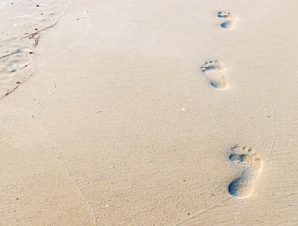 עקבות על חוף הים (צילום: Shutterstock)