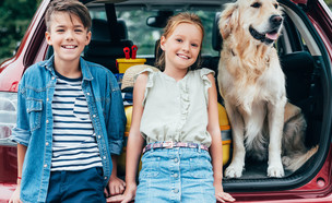 ילדים וכלב ברכב (צילום:  LightField Studios, Shutterstock)