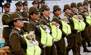 שוטרים בצ'ילה בצעדה עם גורים שיהפכו לכלבי משטרה (צילום: רויטרס, חדשות)