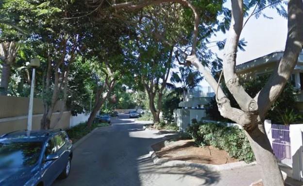 Google Street View (צילום: Google Street View, The Marker)