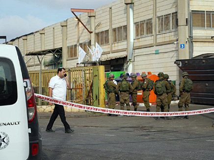 זירת הפיגוע הרצחני (צילום: הלל מאיר/TPS, חדשות)