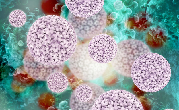 HPV פפילומה (צילום: xrender, shutterstock)