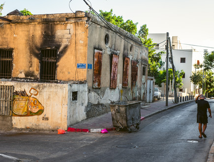 אינעל העולם (צילום: עופר חן)