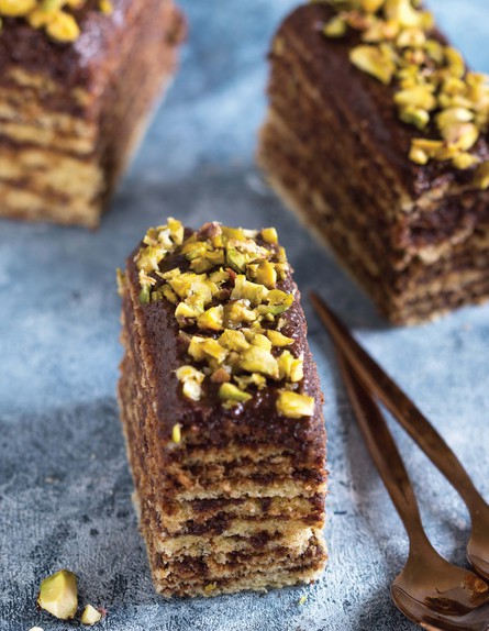 עוגת שכבות עם קרם פיסטוק-שוקולד (צילום: שושי סירקיס, מתוק ובריא, הוצאת דני ספרים)