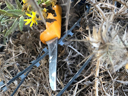 הסכין שהסתיר החשוד