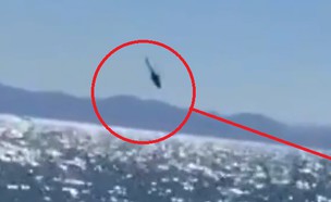 מסוק MI-17 מתרסק (צילום: מתוך הסרטון)