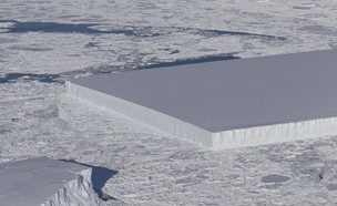 קרחון טבולרי (צילום: NASA_ICE, twitter)