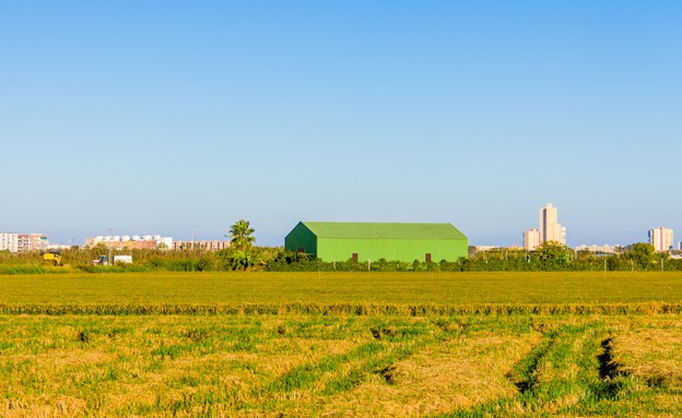 המיחזור הבינלאומי של נספרסו (צילום: Shutterstock)