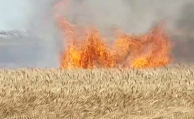 שריפת קוצים בעקבות עפיפון תבערה מעזה (צילום: ללא, חדשות)