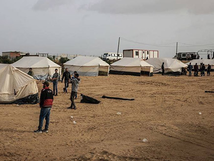 המצרים ביקרו באוהלי המפגינים (צילום: חדשות)
