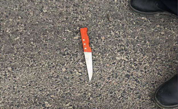 תמונת הסכין, היום (צילום: דובר צה"ל, חדשות)