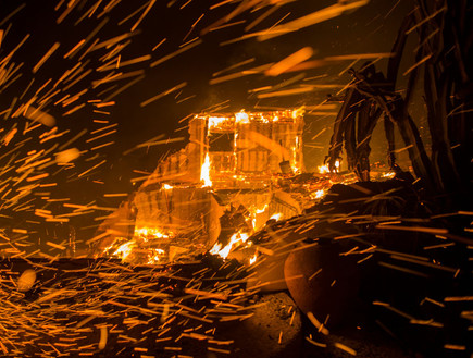 שריפה בקליפורניה (צילום:  Getty Images David McNew)