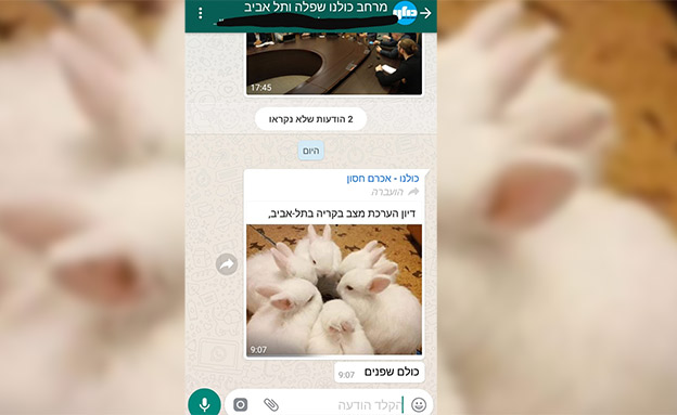 צילום המסך מתוך קבוצת הוואטסאפ (צילום: צילום מסך, חדשות)