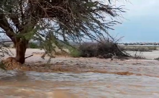 שיטפון בנחל גדרון (צילום: אורן פריטל, רשות שמורות הטבע והגנים, חדשות)