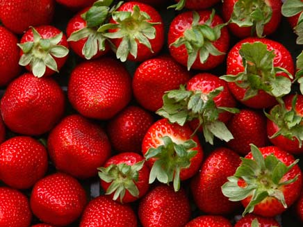 סלסלת תותים - אילוסטרציה (צילום: רויטרס, חדשות)