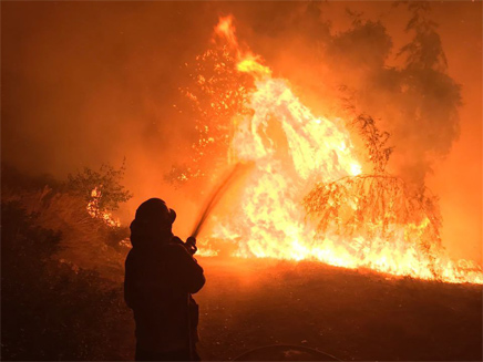 שריפה בחיפה (צילום: דוברות כב