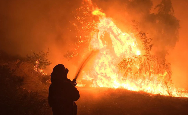 שריפה בחיפה (צילום: דוברות כב"ה, חדשות)