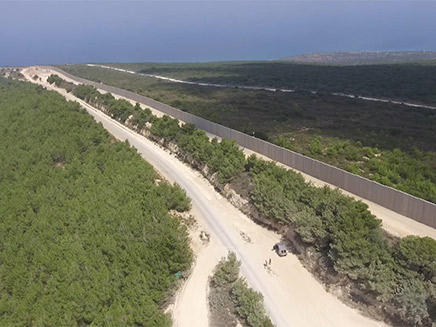 צפו בקטעי הארכיון (צילום: דובר צה