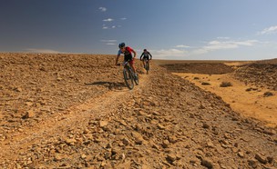 אופנייה בערבה  (צילום: תומר פדר)