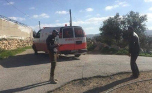 זירת ניסיון הפיגוע ליד חברון (צילום: מהתקשורת הפלסטינית, חדשות)