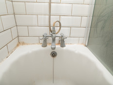 אמבטיה מלוכלכת (צילום: Tcziebell / Shutterstock.com)
