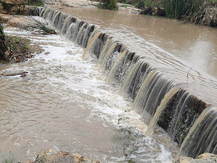 עין חמד (צילום: דב פרידמן רשות הטבע והגנים, חדשות)