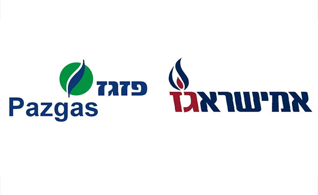 שתי החברות הגז בדרך לשימוע (צילום: חדשות)