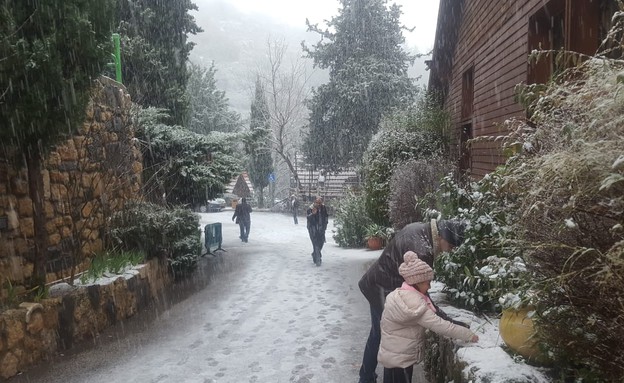 שלג בחרמון (צילום: כפר הנופש רימונים)