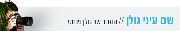 הדר חוקר פרטי