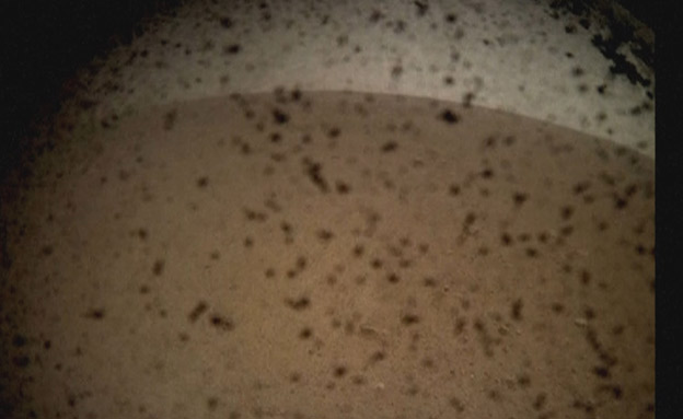 נחיתת החללית אינסייט על פני מאדים (צילום: NASA, חדשות)