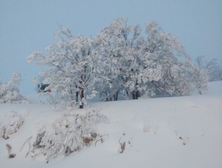 שלג בחרמון (צילום: שמעון פריינטה)