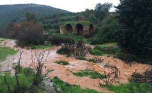 הזרימה בבניאס היום (צילום: נדב ברטן רשות הטבע והגנים, חדשות)